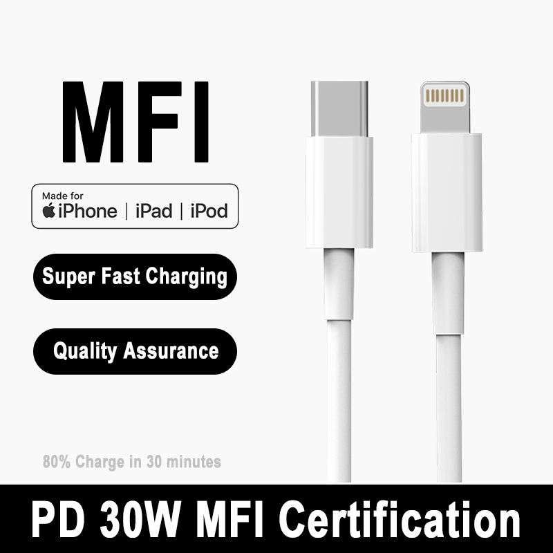 Tech Accessories Apple - 애플 아이폰용 C 타입 라이트닝 고속